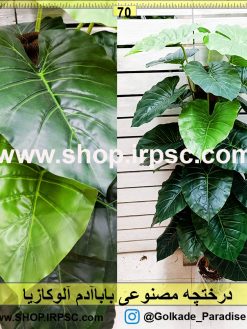 درختچه مصنوعی باباآدم (آلوکازیا)