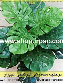 درختچه مصنوعی آپارتمانی انجیری