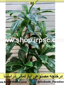 درختچه مصنوعی آپارتمانی دراسینا