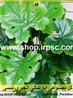 گل مصنوعی آپارتمانی انجیری