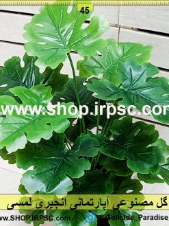 گل مصنوعی آپارتمانی انجیری