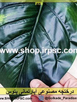 درختچه مصنوعی آپارتمانی پتوس