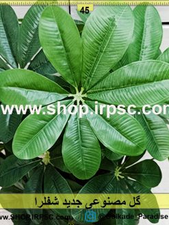 گل مصنوعی جدید شفلرا