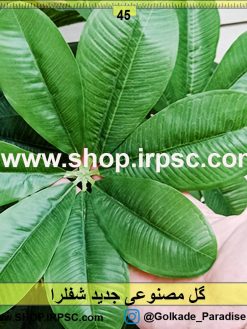 گل مصنوعی جدید شفلرا