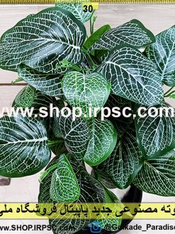 بوته مصنوعی جدید فیتونیا