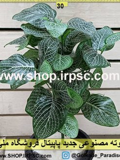 بوته مصنوعی جدید فیتونیا