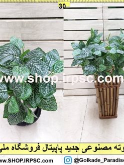 بوته مصنوعی جدید فیتونیا