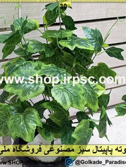 بوته پاپیتال مصنوعی بزرگ