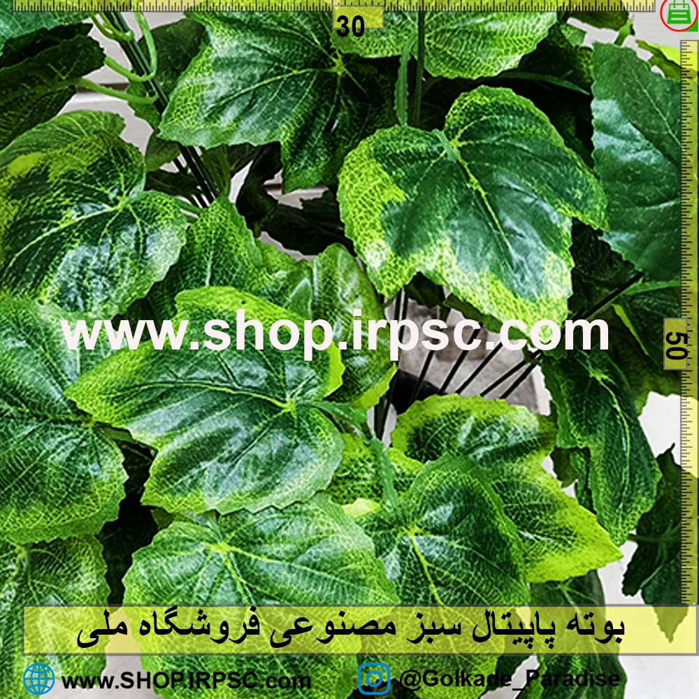 بوته پاپیتال مصنوعی بزرگ