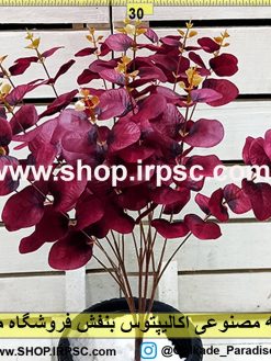 بوته مصنوعی اکالیپتوس بنفش