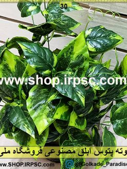 بوته پتوس ابلق مصنوعی