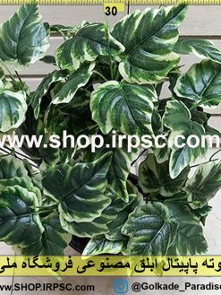 بوته پاپیتال ابلق مصنوعی