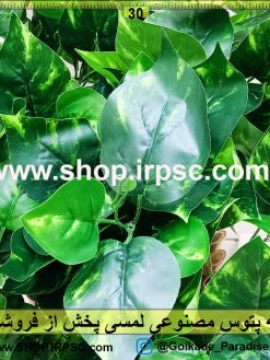 بوته پتوس مصنوعی لمسی