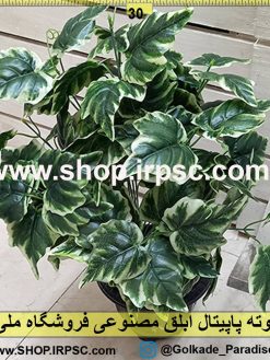 بوته پاپیتال ابلق مصنوعی