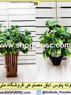 بوته پتوس ابلق مصنوعی