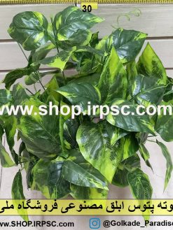 بوته پتوس ابلق مصنوعی