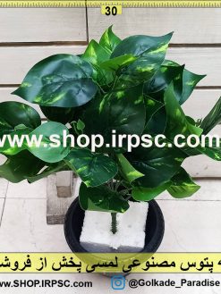 بوته پتوس مصنوعی لمسی