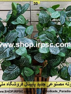 بوته مصنوعی جدید فیتونیا