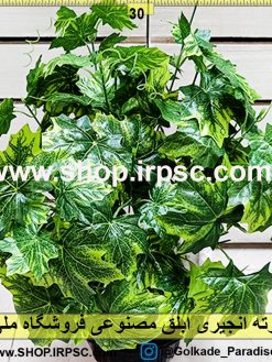 بوته گراس ابلق مصنوعی