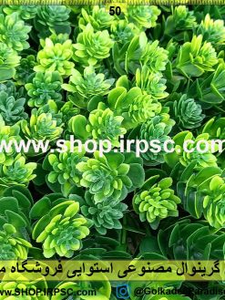 پنل گرینوال مصنوعی استوایی