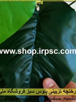 درختچه تزئینی پتوس سبز