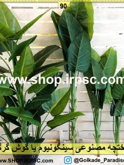 درختچه مصنوعی سینگونیوم لوکس