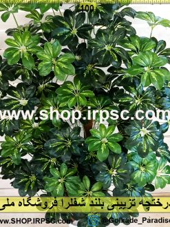 درختچه تزئینی بلند لوکس