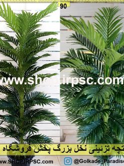 درختچه تزئینی نخل بزرگ