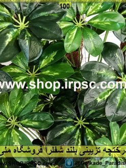 درختچه تزئینی بلند لوکس