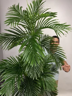 خرید درختچه مصنوعی نخل کنتیا