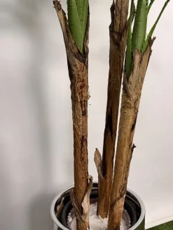 درختچه مصنوعی نخل کنتیا 190 سانتی ارزان