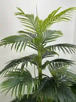 خرید نخل مصنوعی کنتیا 1.7 متری
