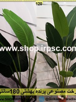 درخت پرنده بهشتی جدید 180 سانتیمتری