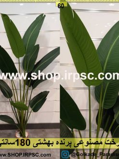 درخت پرنده بهشتی جدید 180 سانتیمتری
