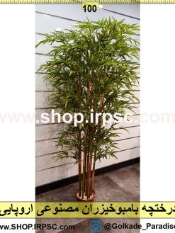 درختچه بامبوخیزران مصنوعی اروپایی