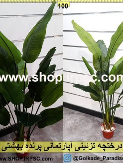 درختچه تزئینی آپارتمانی پرنده بهشتی