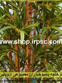 درختچه بامبوخیزران مصنوعی اروپایی