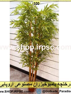 درختچه بامبوخیزران مصنوعی اروپایی