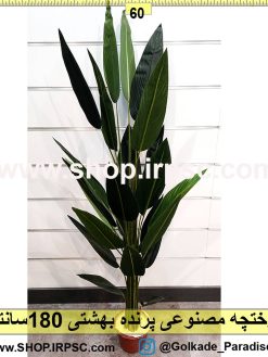 درختچه پرنده بهشتی 180سانتیمتری