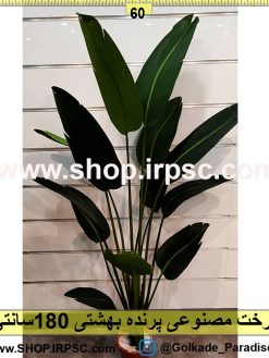 درخت پرنده بهشتی جدید 180 سانتیمتری