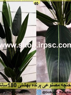درختچه پرنده بهشتی 180سانتیمتری