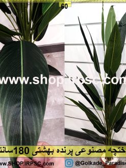 درختچه پرنده بهشتی 180سانتیمتری