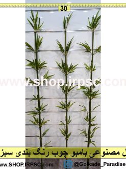 شاخه بامبو خیزران اروپایی