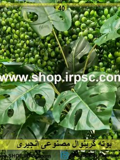 بوته گرینوال مصنوعی انجیری