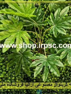 بوته گرینوال مصنوعی آرالیا