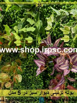 بوته تزئینی دیوار سبز در 5 مدل پخش از فروشگاه ملی