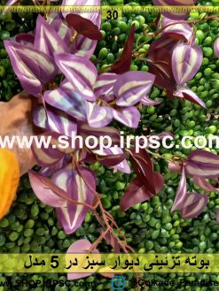 بوته تزئینی دیوار سبز در 5 مدل پخش از فروشگاه ملی