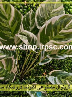 بوته گرینوال مصنوعی آگلونما