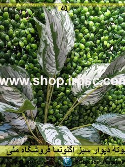 بوته گرینوال مصنوعی آگلونما