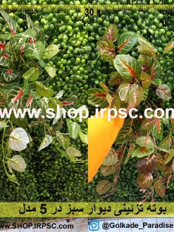 بوته تزئینی دیوار سبز